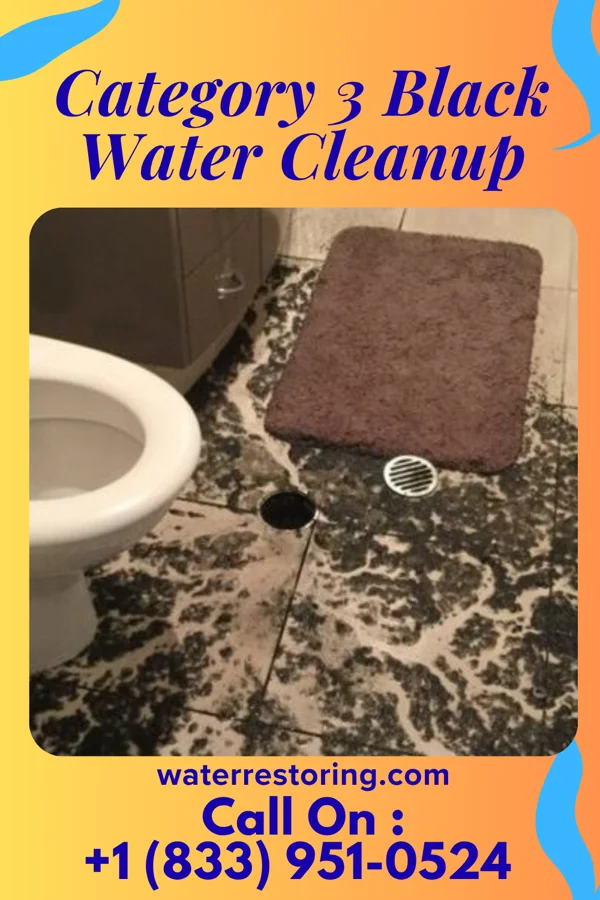 Category 3 Black Water Cleanup in Clarksville, MO